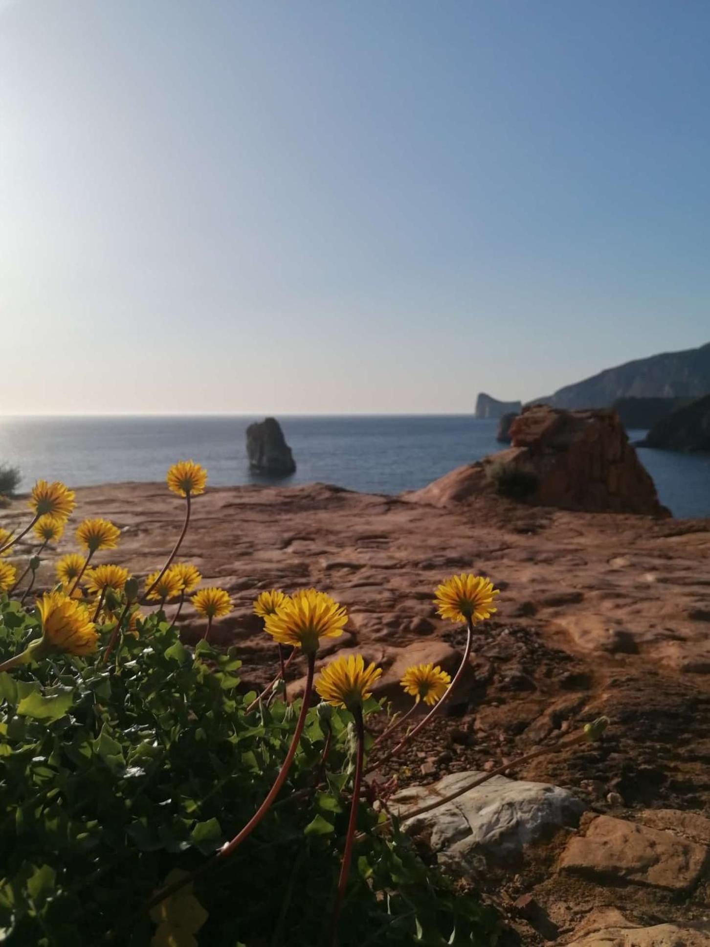 B&B Sa Turre Iglesias Luaran gambar
